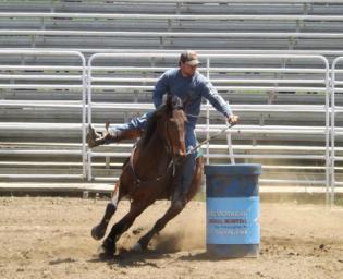 Western PennsylvaniaWestern Horse Showbills and Information www.wpqha.com May 19 th Open Contest Shows July 28 th Start Time 6pm 1. Exhibition Barrels 12. Exhibition Poles (IF Time Allows) 2.
