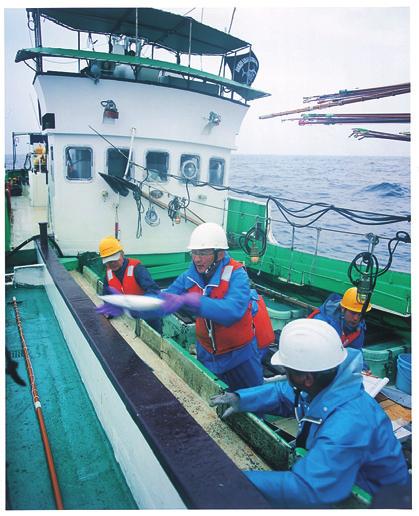The Ajinomoto Group Initiatives Work for Life In order to accompany the usual fishing trips, the researchers leave port in the early hours of