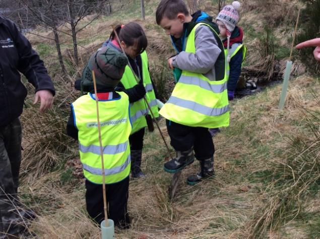Tree Planting Keeping with the theme on river ecology, Strathconon Primary School had an afternoon planting trees