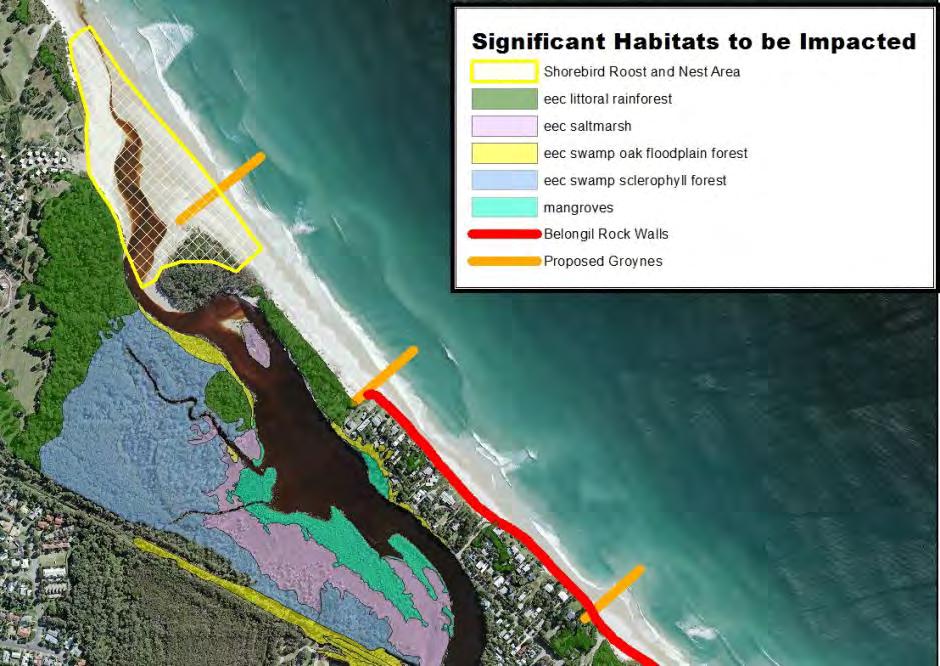 3. Impacts on the Natural Environment It is certain that the accelerated erosion, increased storm damage, increased ocean inundation and altered estuarine processes caused by the Belongil rock sea