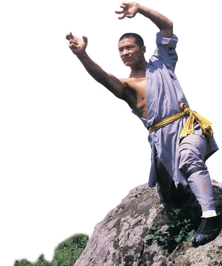 Kan Jia Fist Shaolin Kung Fu These forms combine martial art exercises with movements, merging and evolving into many characteristics forms