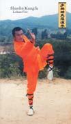 internal Kung Fu exercises of the Songshan Shaolin Monastery.