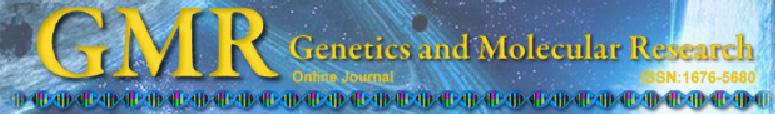 Rabbit MSTN gene polymorphisms and genetic effect analysis X.B. Qiao 1, K.Y. Xu 2, B. Li 1, X. Luan 1, T. Xia 1 and X.Z.