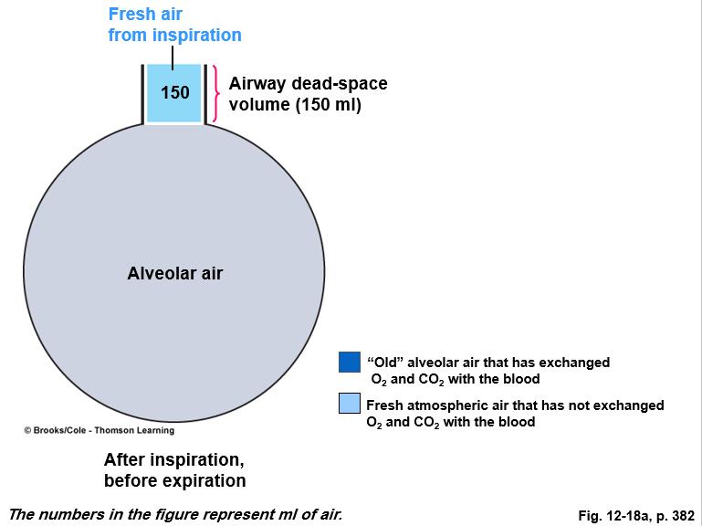 As a result, the helium becomes diluted by the functional residual capacity gases and evenly distributed between FRC and the spirometer, and the volume of the functional residual capacity can be