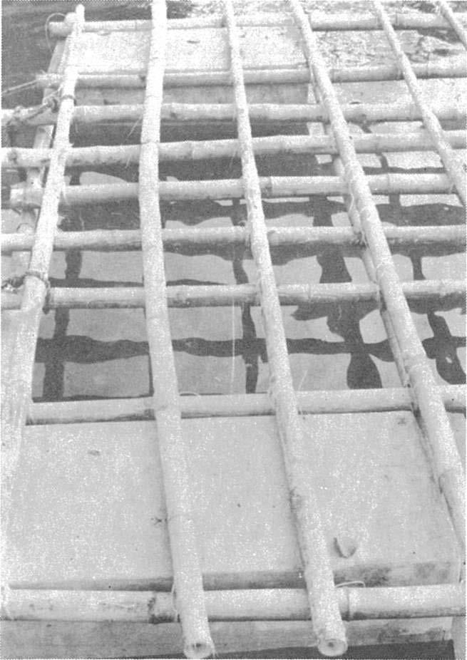 Fig. 2. Perspective view of raft lattice and styrofoam buoys. 3. 6 pcs styrofoam, ferro-concrete coated buoys, (4 ft x 8 ft x 4 in), including medical gauze, fish netting and other requirements.