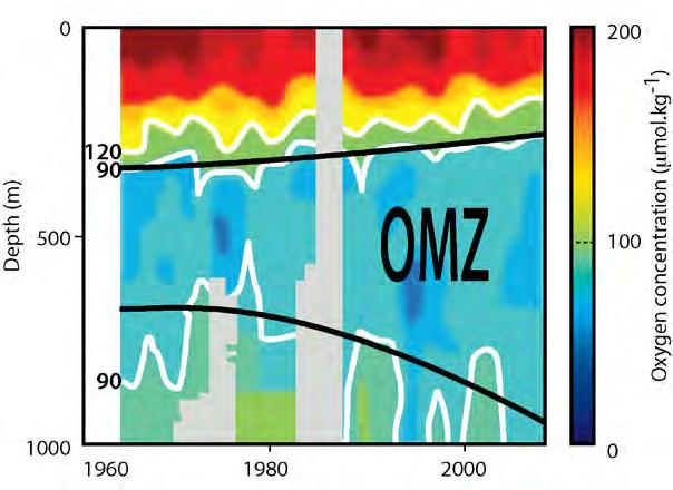 2008) Trends in dissolved oxygen concentration and temperature stratification will (very likely)
