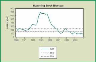 The spawning mass of Baltic cod has plummeted to below safe biological limits.