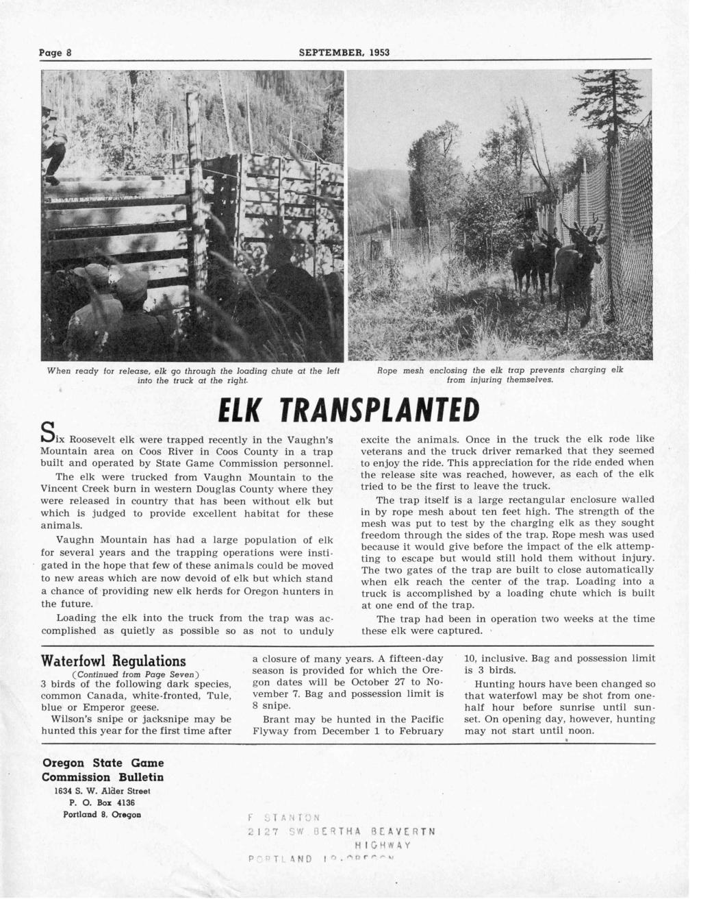 Page 8 SEPTEMBER, 1953 When ready for release, elk go through the loading chute at the left into the truck at the right- Six Roosevelt elk were trapped recently in the Vaughn's Mountain area on Coos