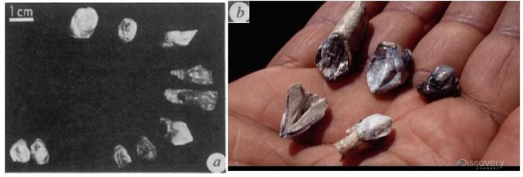 25 FIGURE 1.5a + b, Holotype specimen, AKA-VP-6/1 upper and lower dentition from a single individual (after White, Suwa and Asfaw, 1994) and b, Discovery channel 2009.
