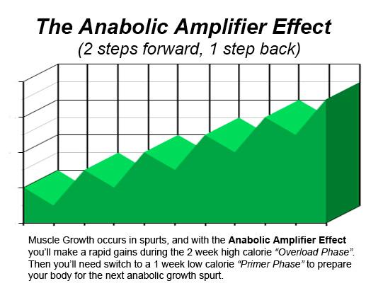 The Anabolic Amplifier Effect (2 steps forward, 1 step back) Muscle Growth occurs in spurts, and with the Anabolic Amplifier Effect you ll make a rapid gains during the 2 week high calorie Overload