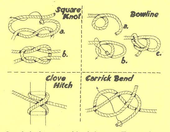 Section C Demonstrate how to tie two quick release knots and explain why you use them. It is important that every horseperson know a few basic knots and when to use them.