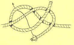 Worksheet # 1 Knots Identify the following knots.