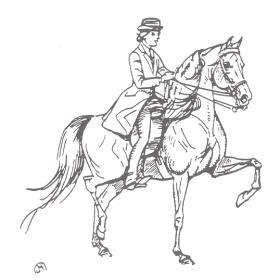To lengthen the reins, relax your grip and slide both hands back at the same time. Head - Your head is held up, eyes looking ahead of the horse.
