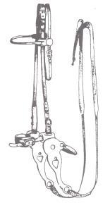 The Bosal is a braided, rawhide noseband, greater than ½ inch in diameter, attached to a headstall and reins. The noseband may be braided over a core of rawhide or nylon, or no core at all.