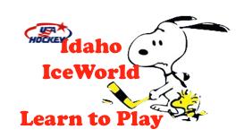 Learn to Play When we start what level will my child be? For our Learn to Play Program, there are two age groups for new Hockey Players. We have a 4-8 years old and 9-17 years old.