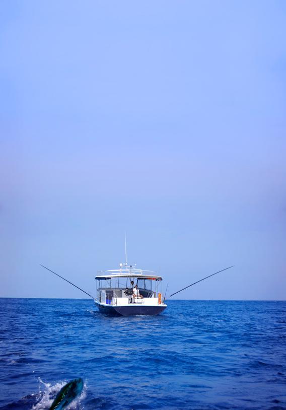 Fishing Outside Schedule* Price: 1,300 USD The above experience is for a maximum of 6 people, any additional person 100 USD *Live bait upon request (subject to availability) 200 USD REEF FISHING
