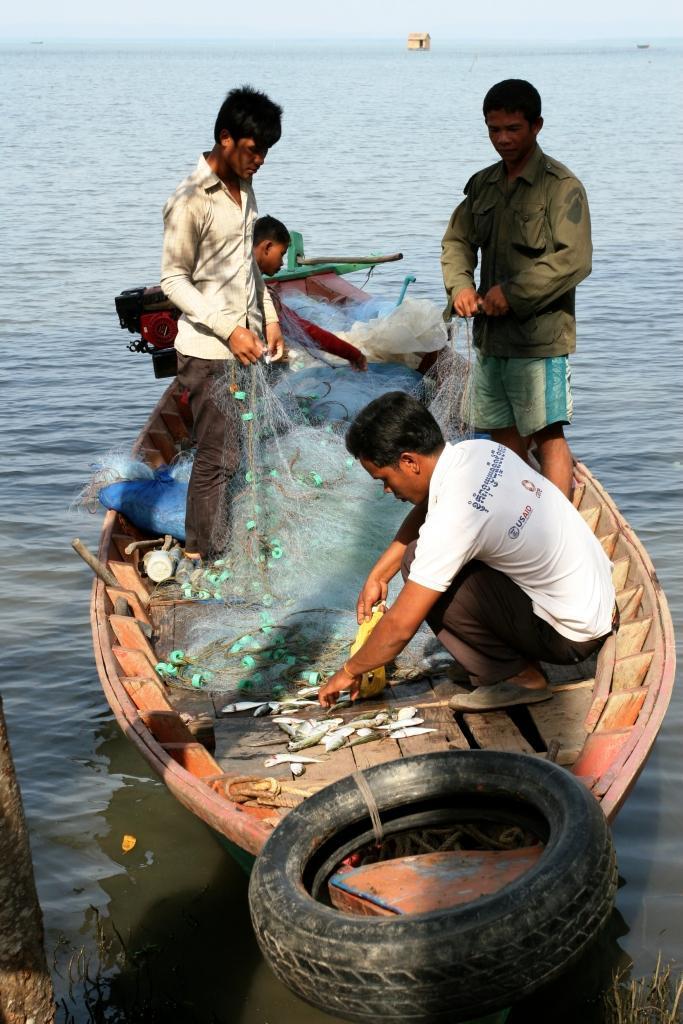 Context In Cambodia, the most common traditional timber fishing vessel is approximately 12 meters in length.