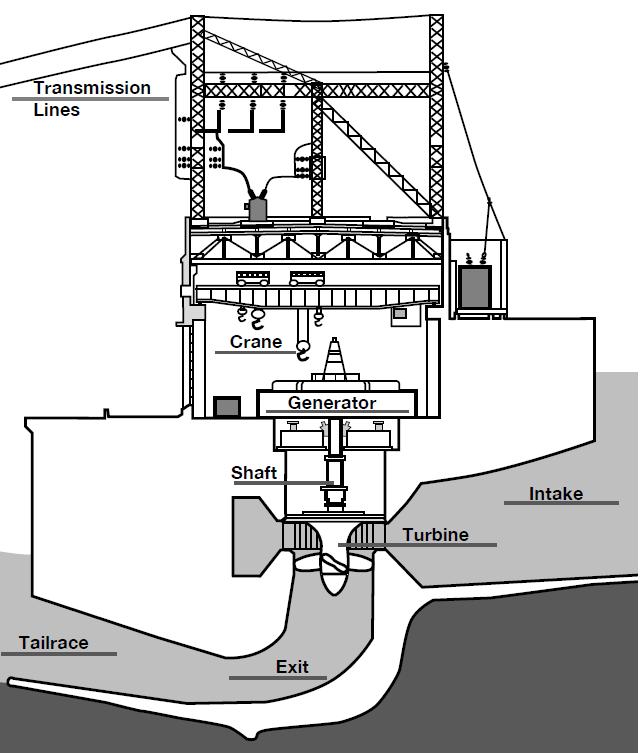 Direct hydrosystem interactions Sturgeon enter turbine draft tubes, penstocks and other orifices Without proper deterrence fish can be exposed to blade strikes,