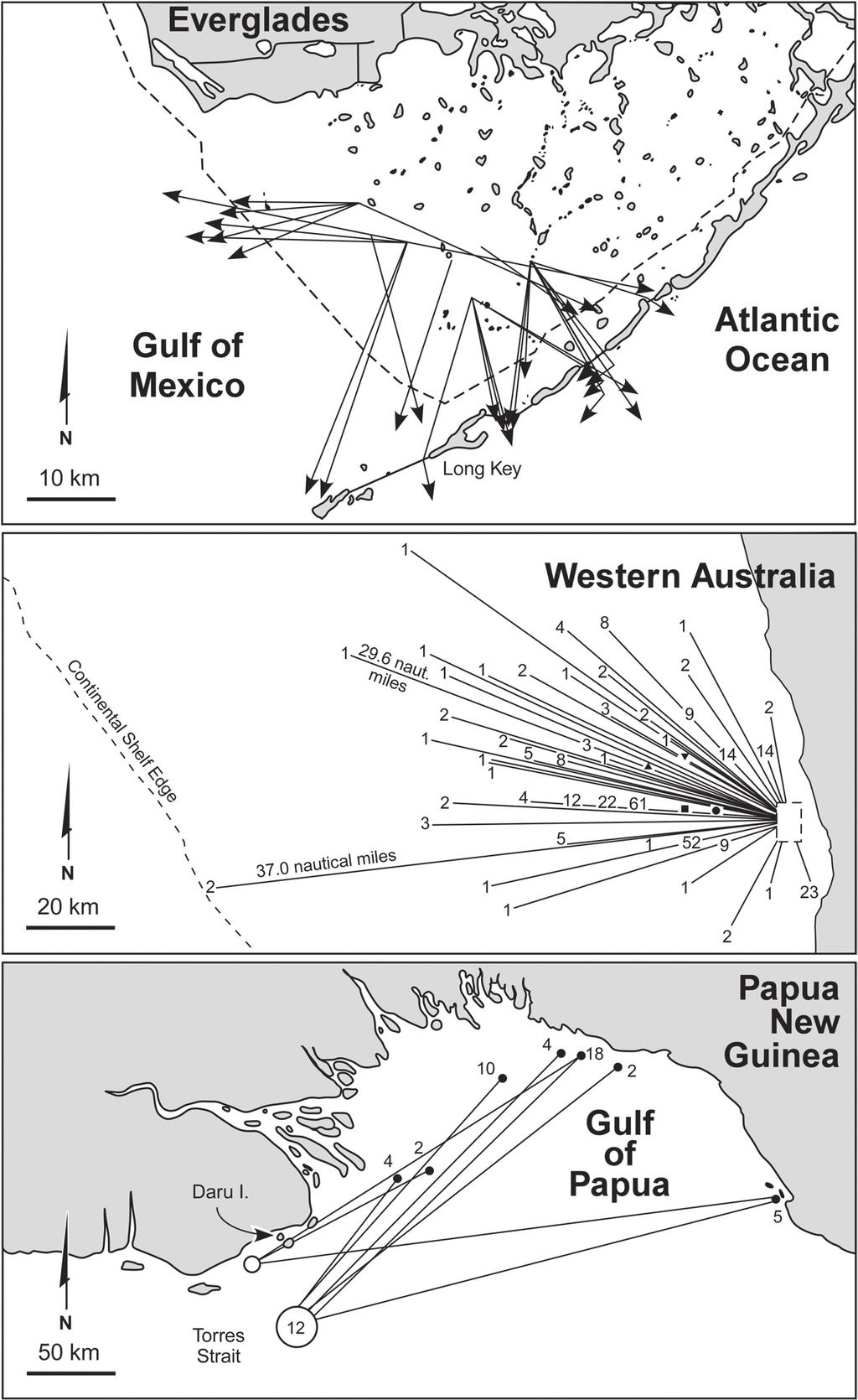 Juvenile and Adult Ecology 273 Fig. 8.5 Examples of migratory movements from nursery areas to reproductive or spawning areas, at different scales, based on tag return data.