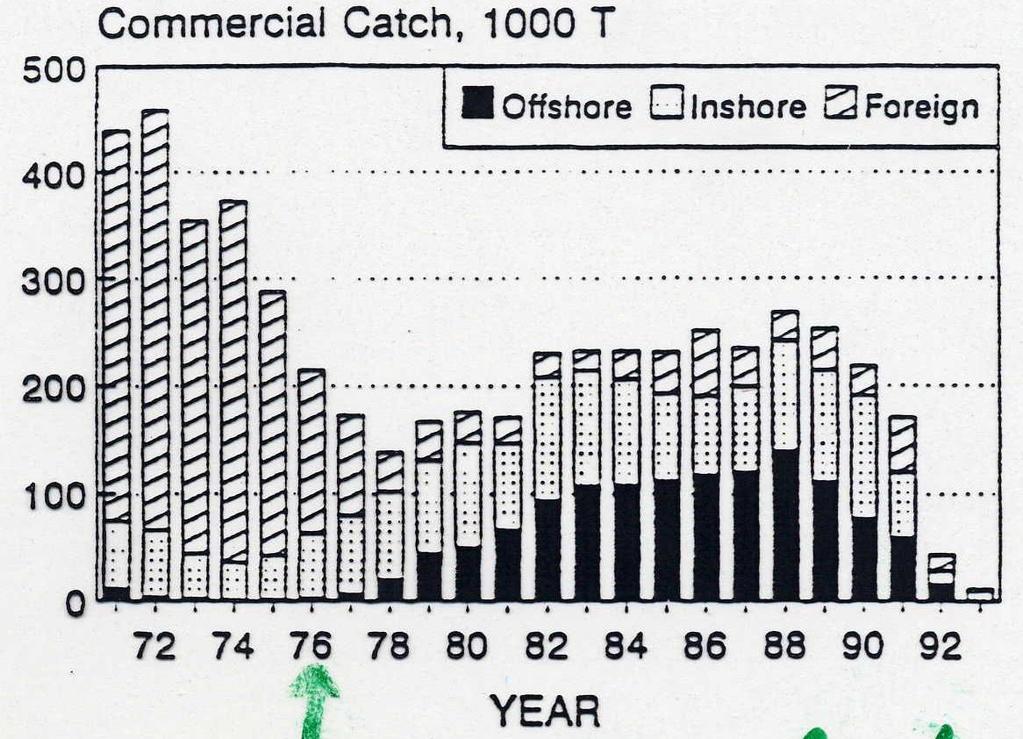 Role of Fish Behaviour 1980s: abundance didn t change much, why? fisheries surveys commercial catch (abundance increasing!