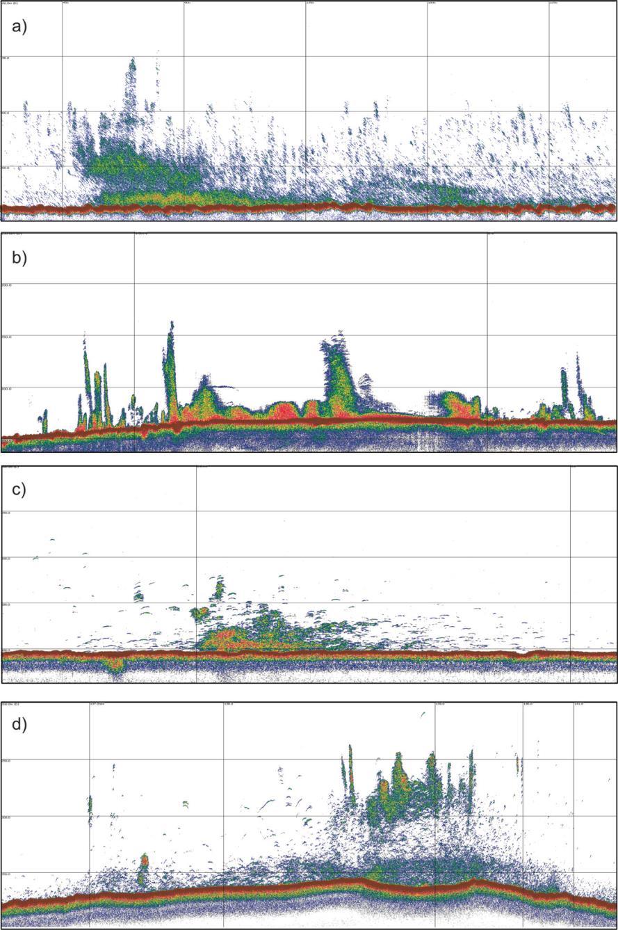 Echograms of cod from the acoustic surveys. Seabed is indicated in dark red, vertical blocks span 1 nautical mile (1852 m), and horizontal blocks span 50 m.