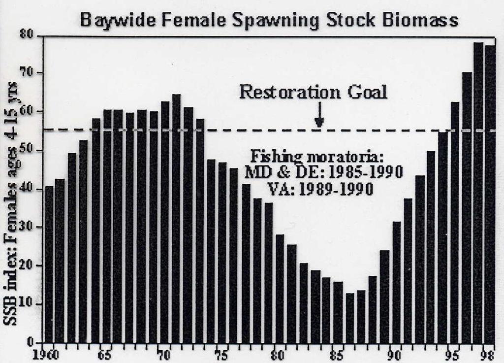 Female abundance from spawning grounds showing reduced numbers starting in mid 70s reaching low point in mid 80s.