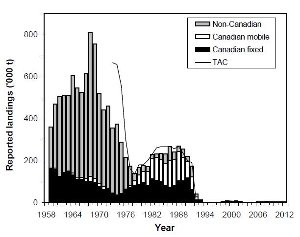 Commercial catch data > 800,000 t peak harvest in 1968 Declined steadily to a low of