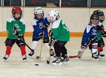 play hockey. Now there are thirty top hockey teams in North America.