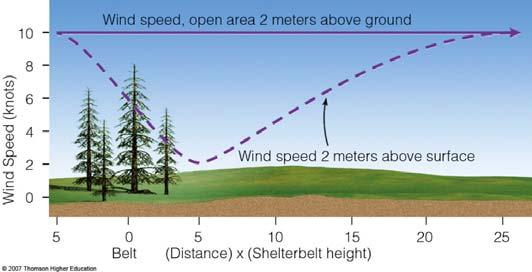 belt. The minimum wind flow behind the belt is typically measured