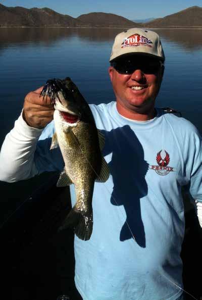Fresh p roline Sun Perch ProLine Casting Jigs The ProLine Stand-up Casting Jigs are made with the same