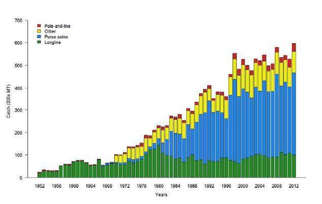 15 Figure 10: Annual catches (1000 t) of yellowfin tuna in the WCPO from 1952-2012 by fishing gear {Davies et al.