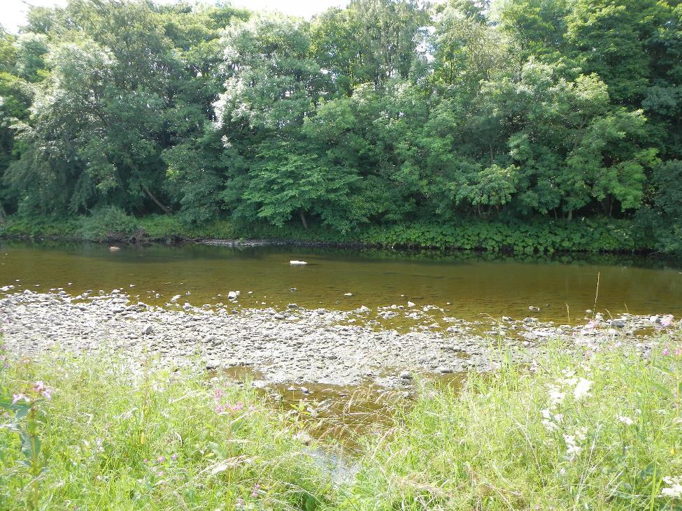 Figure 2. Lack of low-level cover along the RB with some mid channel cover provided by boulder clusters Heading downstream, below the old bridge, two areas of notable bank erosion were evident.