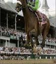 $4.6 Billion in Context About $470 Million is bet on horse racing at the