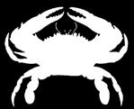 Crustaceans American Lobster The legal possession size of whole lobsters, measured from the rear of the eye socket Lobster along a line parallel to the center line of the body shell to the rear of