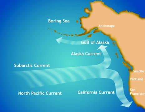 Oceanic currents off the Pacific Northwest. The oceanic region of the Pacific Northwest is characterized by two large currents, the North Pacific and Subarctic Currents.
