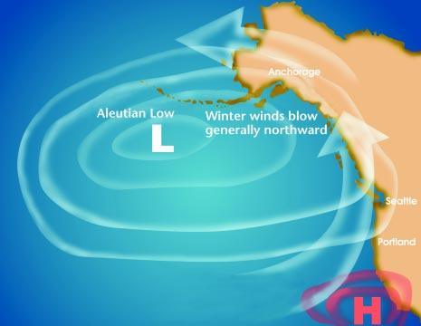 Under normal conditions, a large, powerful, low-pressure system known as the Aleutian Low sits off the Aleutian Islands and brings cool Arctic air to the Pacific Northwest (figure 2).