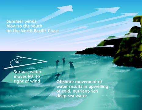The Ocean Surface winds generated by these pressure systems are the main force driving coastal currents off the Pacific Northwest.