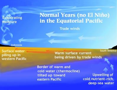 Oceanic Variability and the Pacific Northwest The normal conditions of the Pacific Northwest are frequently undermined by variations in atmospheric and oceanic conditions.