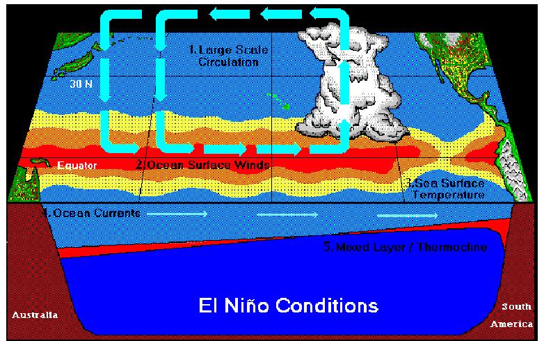 El Niño Eventually, the Warm