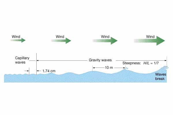 Wind-Driven Waves Capillary Waves --> Gravity