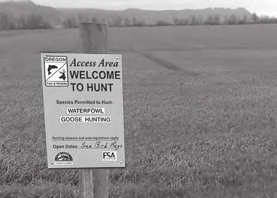 Hunting Access Summary Seventy-one percent of projects that were active during the 2011-2013 biennium included a public hunting access component, opening over 4.
