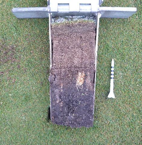 and mid-september to remove more organic matter from the upper soil profile. Late summer aeration will also stimulate root growth after the peak months of play.