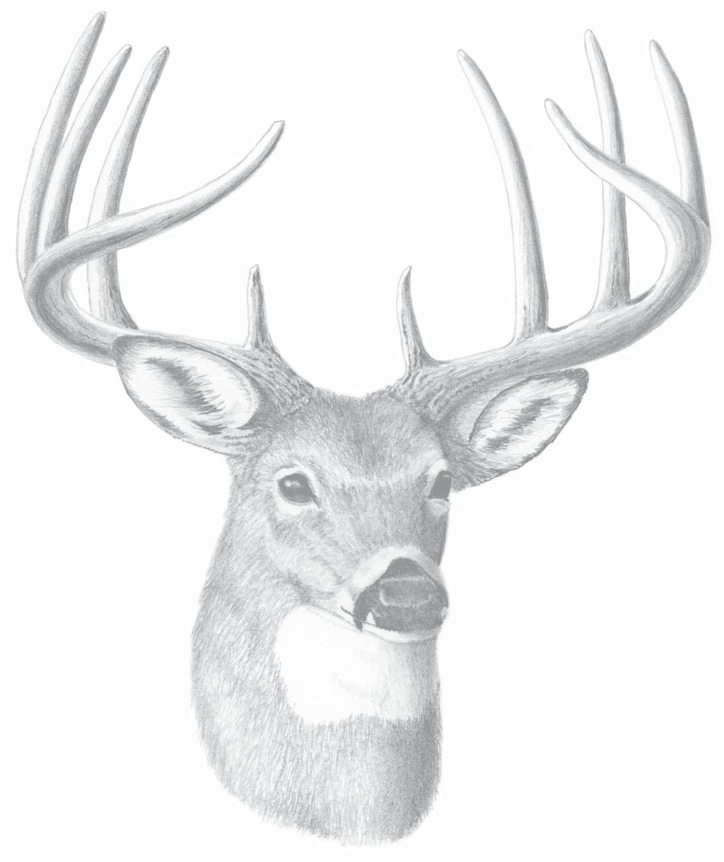 White-tailed Deer Bow Season, Typical Antlers Score County Name 170 6/8 Baltimore Andrew Hacke 162 6/8 Caroline John Wissman 148 7/8 Charles Jeff Perry 148 0/8 Cecil David J.
