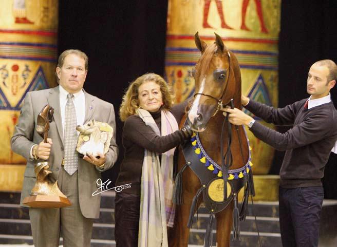 European Champion Abha Qatar and Team in Verona 2009 DUKE DORSAZ, who went on to be a triple US National Champion. She also purchased and imported mares from Poland in 1968.