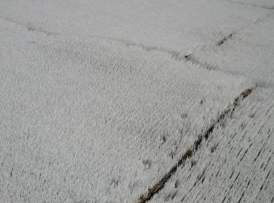 This matting is placed on the side of a slope, and with a bit of water and lubricant, users can