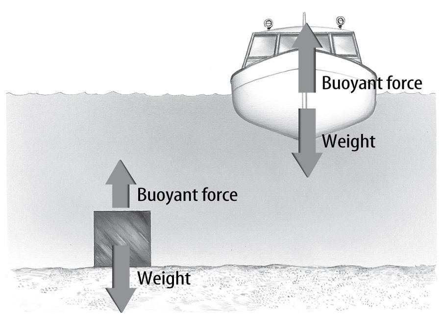 3.2 Pressure and the Buoyant Forces What causes buoyant force?