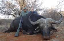 10 DAY Package 10 DAY BUFFALO, GIRAFFE AND SABLE OR ROAN ANTELOPE