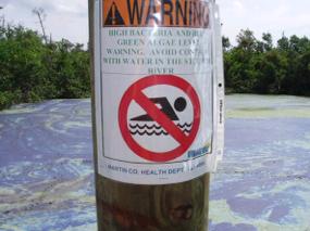 Toxic Algae -