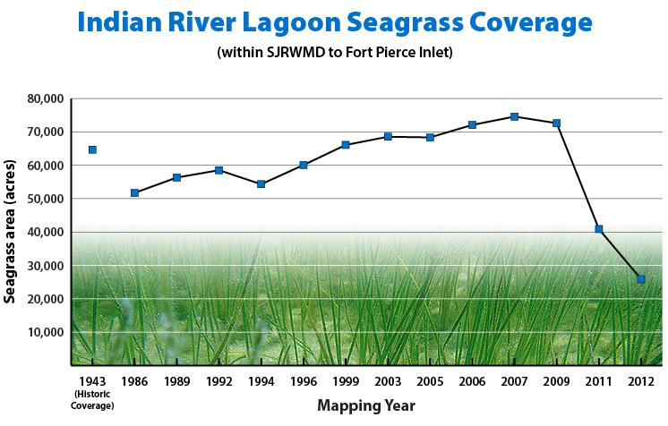 habitat. Less than 84,000 acres support seagrass.