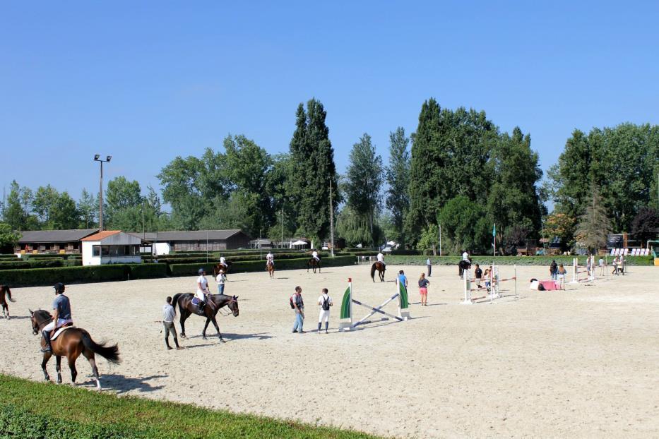 3. PRACTICE ARENA(S) : Dimensions: Type of Footing: 80m x 80m Silica Sand and Fibers Riders must have the possibility to exercise their horses in an exercise area under a Steward s supervision at
